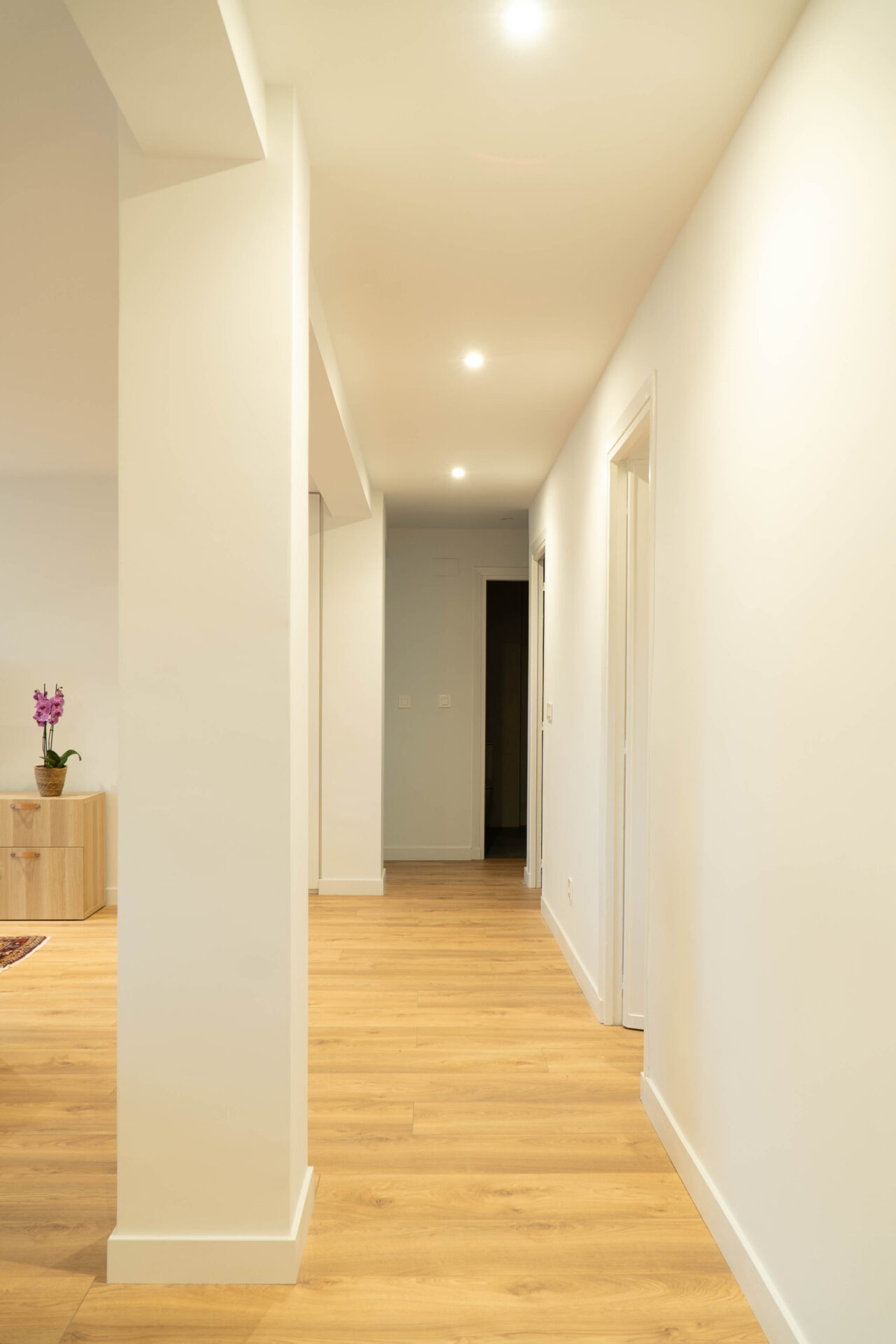 Vivienda con distribución funcional