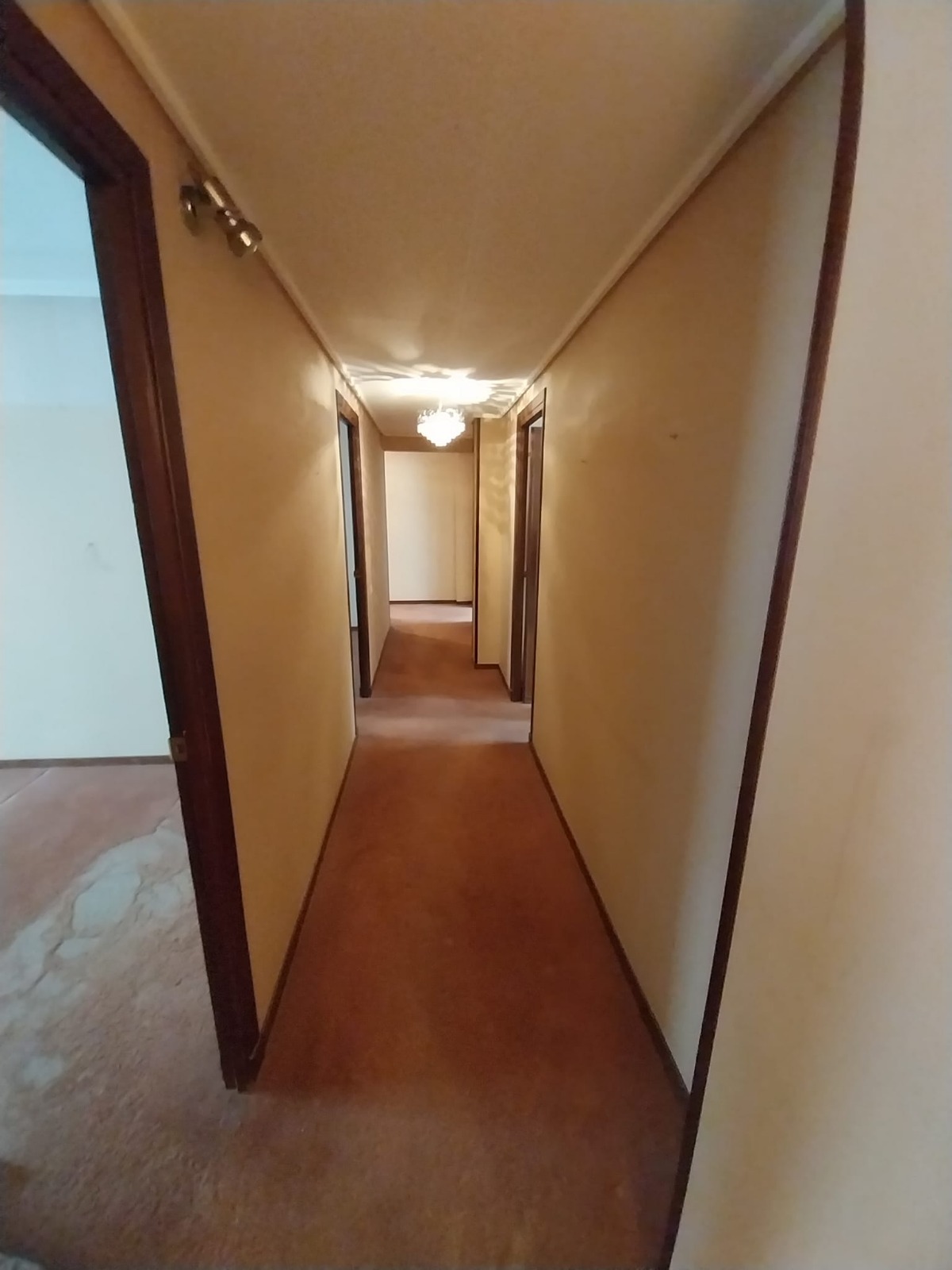 Vivienda con distribución funcional